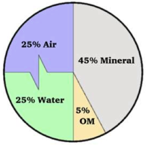 This pie is what makes up the ideal soil: half solid, half pore space. The pore space is evenly mixed between air and water. 