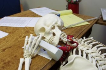 skeleton2-on-hold.jpg