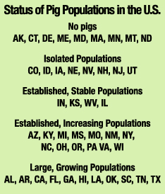 Pig Populations