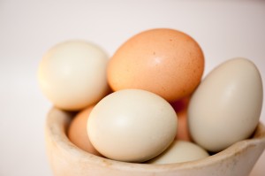 Valdale-Farm-Eggs-1005-300x199