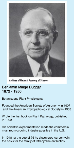 In 1943, after 55 years of research and working in universities, Benjamin Duggar retired at the age of 71. He turned down all the consulting offers that ... - BenjaminDuggar