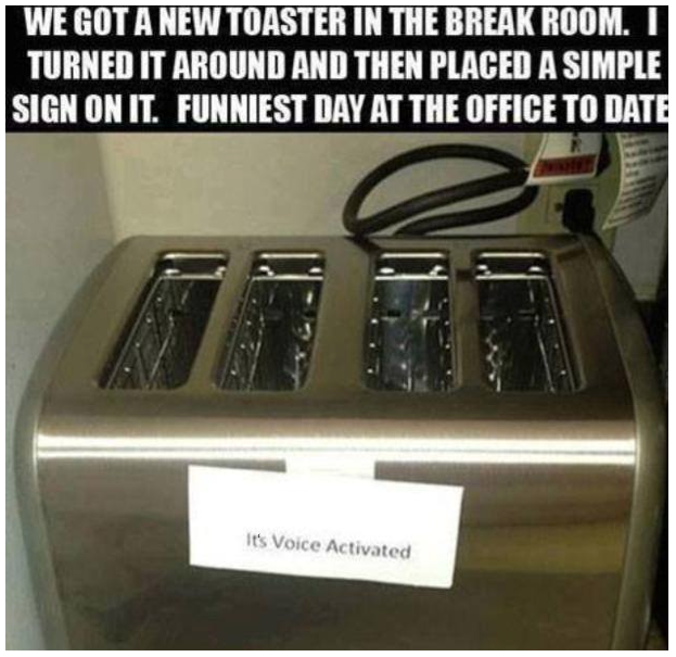 Tell the truth - you'd talk to the toaster wouldn't you!