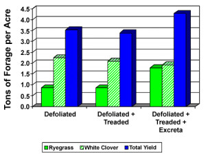 Effect of defoliation, treading and excreta return to pastures on yield of perennial ryegrass and white clover pastures stocked at 10 sheep per acre. (Adapted from Currl and Wilkins, 1981.)