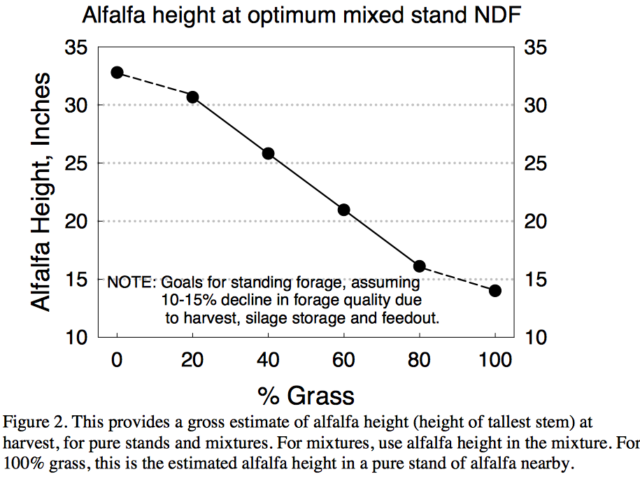 Dr. Cherneys NDF Alfalfa height graph