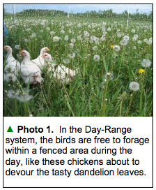 From "Perfecting the Day-Range Poultry System" bib Jason Fischbach, UW-Extension Agent