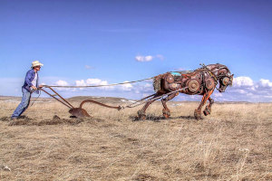 Artist John Lopez takes turning old farm machinery into yard art very seriously. Click on the picture to see all the machinery that went into this plow horse.
