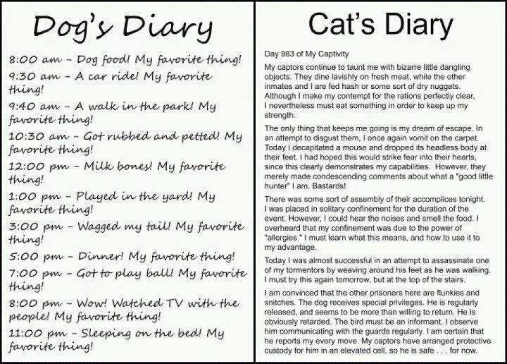 Dog and Cat Diaries