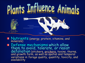 Plants Influence Animals