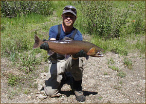Biologist Mark Hereford (don't you just love his last name?) with Lahontan cutthroat trout prior to being released upstream. Photo courtesy of USGS.