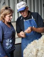 David has shown a lot of folks how to shear sheep and grade wool.