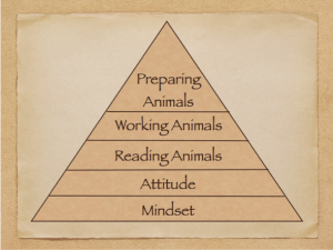 We're working our way up the pyramid of skills you need to become a good low-stress livestock handler. With mindset and attitude you're starting with a strong foundation.
