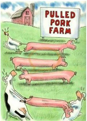 Pulled Pork Farm | On Pasture