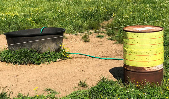 Farm Hack Fly Traps – On Pasture