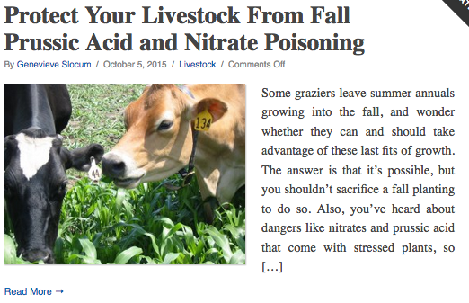 Genevieve’s article on Prussic Acid and Nitrate Poisoning | On Pasture