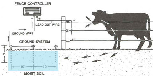 Does Keeping the Soil Wet Around a Ground Rod Keep an Electric Fence Hot? –  On Pasture