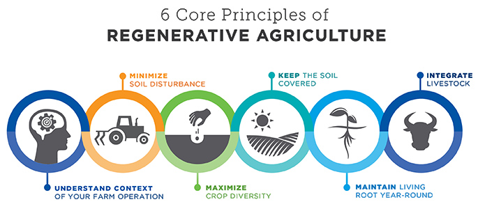 What Principles Guide Regenerative Agriculture? | On Pasture