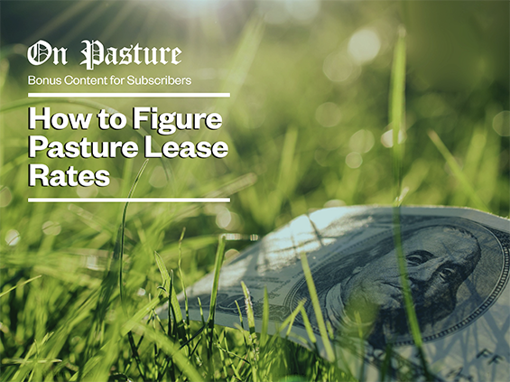  Pasture Lease Rates Cover On Pasture